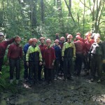 Llain Activity Centre | Forest Adventure image 10