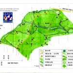 Llain Activity Centre | Orienteering image 1